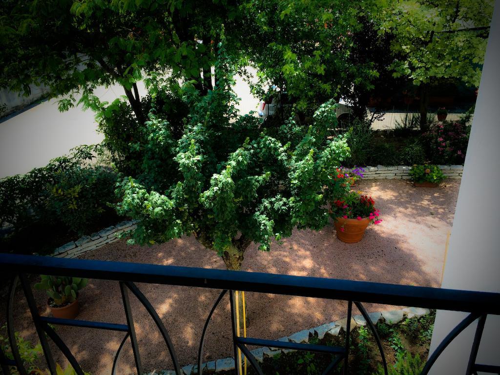 Bed & Breakfast Bed & Breakfast Don Carlos *