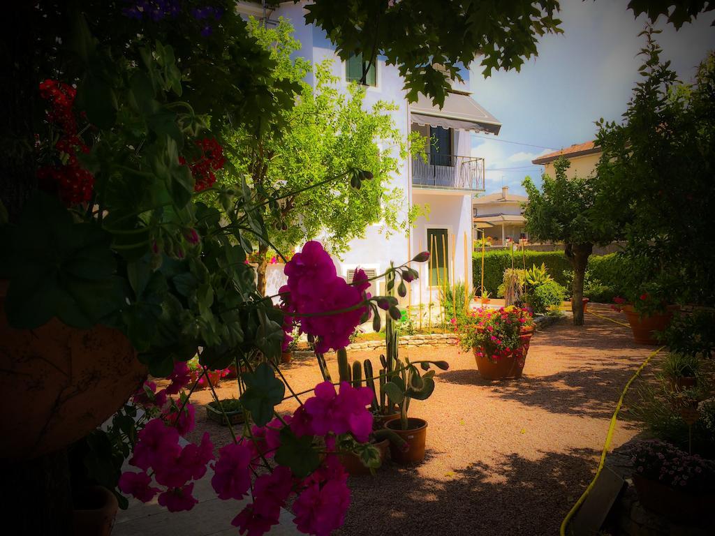Bed & Breakfast Don Carlos San Martino di Lupari